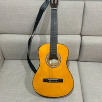 Chitarra per principianti