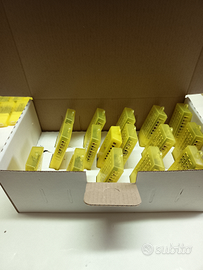 Api regina ligustica -spedizione in tutta europa