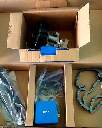 Kit catena distribuzione +pompa acqua 