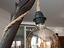 Immagine 5
