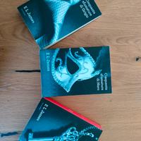 libri 50 sfumature