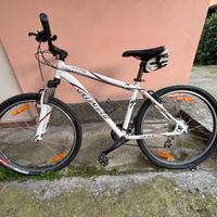 Bicicletta Specialized HR XC Sport