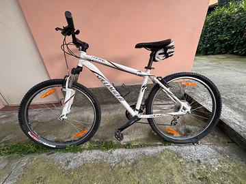 Bicicletta Specialized HR XC Sport