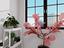 Immagine 27