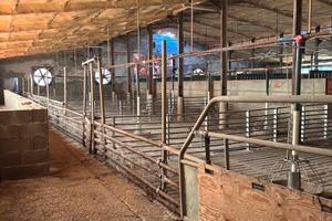 Fondo rustico-stalla