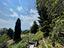 Immagine 10