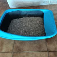 Lettiera per gatti
