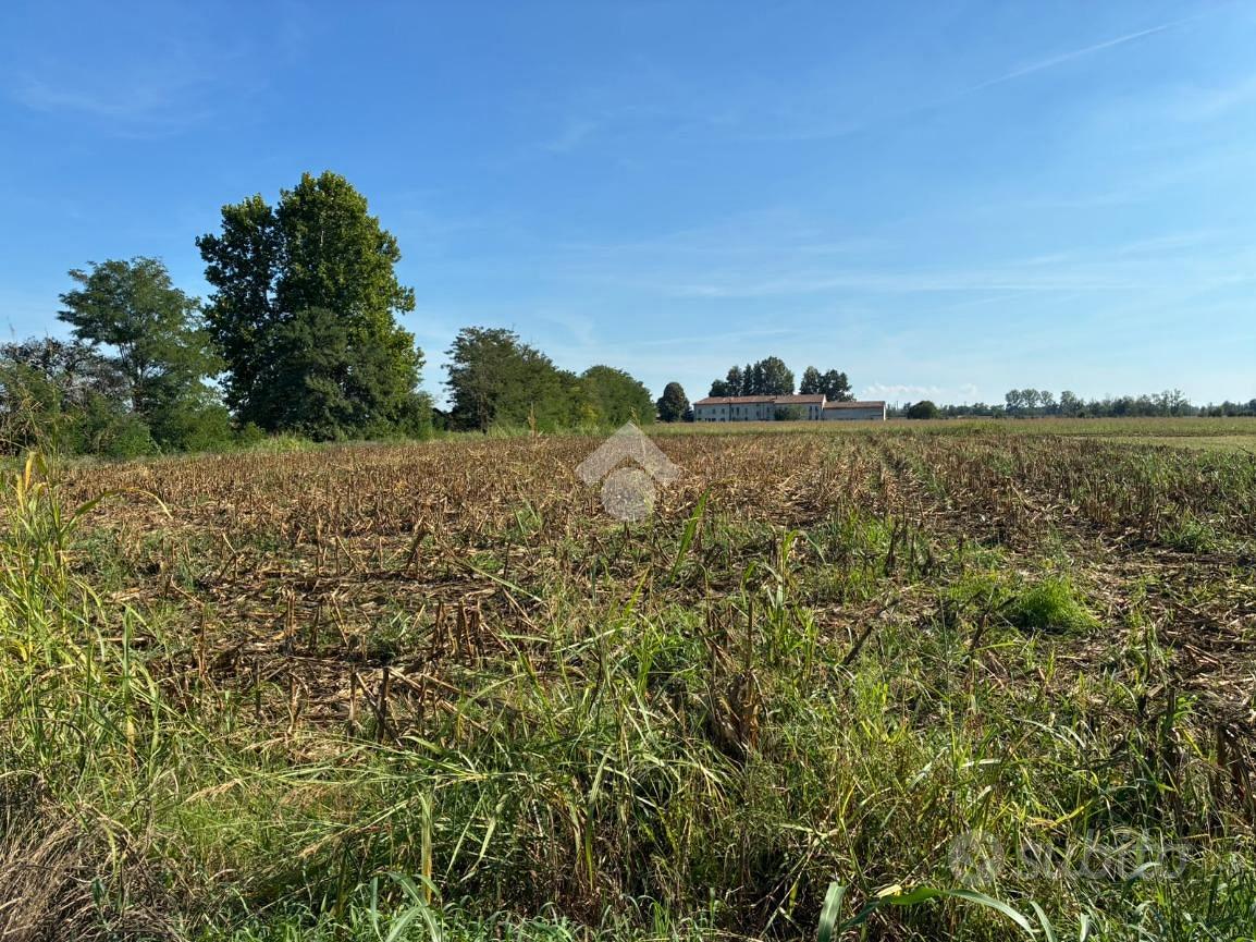 TER. AGRICOLO A CORBETTA - Vista 3