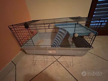 gabbia x coniglio