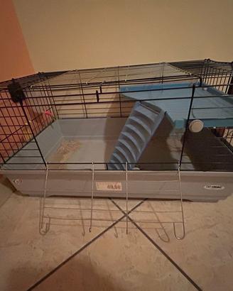 gabbia x coniglio