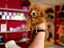 Immagine 19