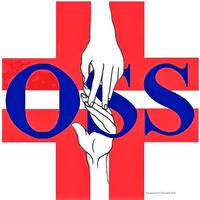 Oss domiciliare o Rsa