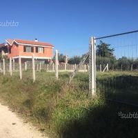 Nettuno TERRENO EDIFIC.LE (1,5 KM MARE)