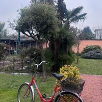 GRAZIELLA