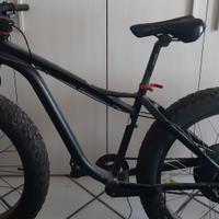 fat bike elettrica 48v 1000W + supporto