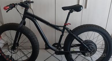 fat bike elettrica 48v 1000W + supporto