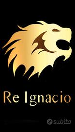 Lavaggista automotive proffessionale