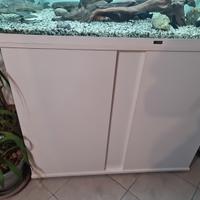Acquario 