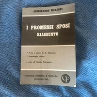 Libro Promessi Sposi Riassunto