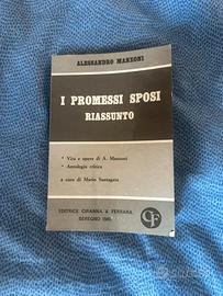 Libro Promessi Sposi Riassunto