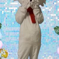 Mascotte per feste