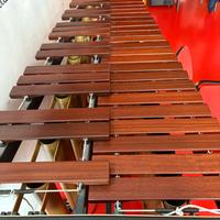 Marimba Adams Concert