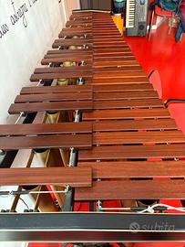 Marimba Adams Concert