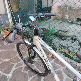Bicicletta elettica