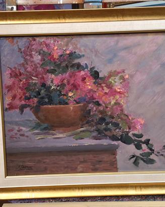 quadro :" vaso di mirto rosso in fiore"