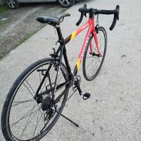 bici da corsa