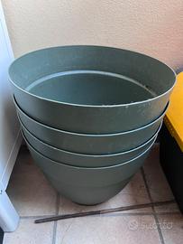 5 Vasi color Salvia