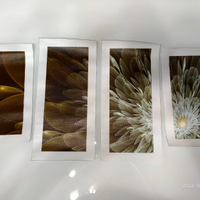 Tele canvas per quadro composito multiplo