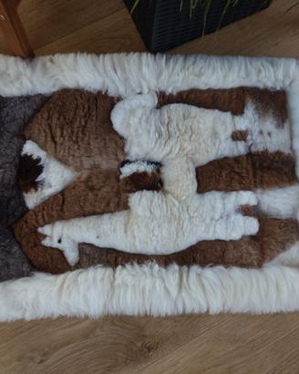 Tappeto autentica pelliccia di alpaca peruviana