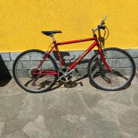 Bicicletta city bike 