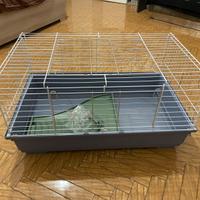 Conigliera/ gabbia per piccoli roditori