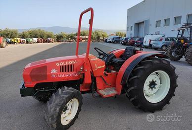 trattore Goldoni 