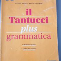 Il tantucci plus Grammatica - Latino