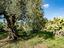 Immagine 29