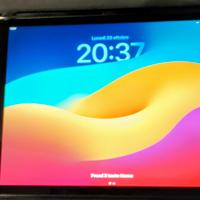Apple iPad 