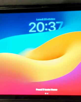 Apple iPad 