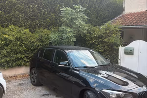120d sport