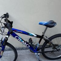 Bicicletta