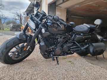sportster s