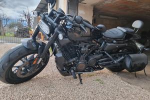 sportster s