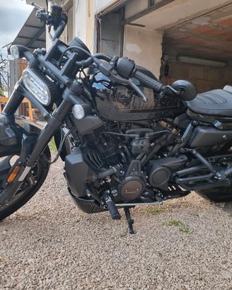 sportster s