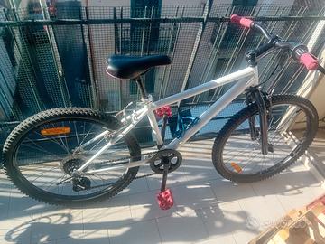 Bicicletta  24