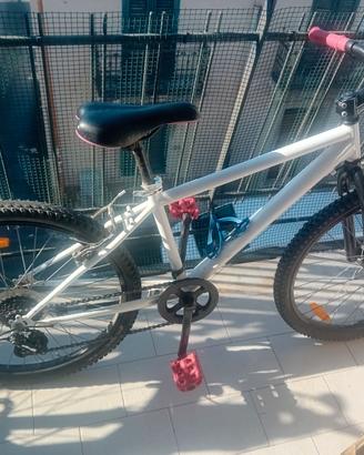 Bicicletta  24