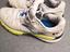 Immagine 3