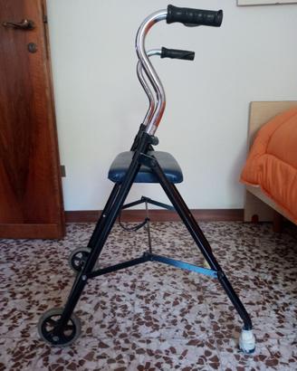Deambulatore 2 ruote
