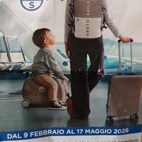 North Sails 75 adesivi 